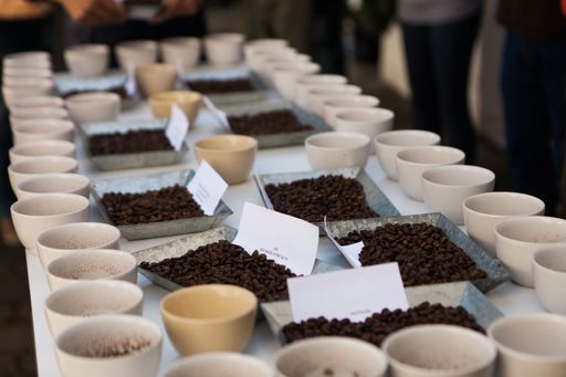 A selective focus shot of coffee cups and beans arranged for tasting