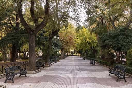 A low angle shot of a park with benches and colorful trees