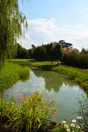 A reflecting pond in the garden with grass and trees under blue sky in France