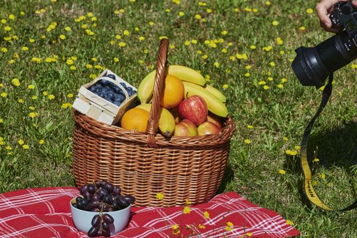 Berlin, Germany - July 30, 2020: Basket of various fruits in sunlight on a meadow with yellow flowers that is being photographed.