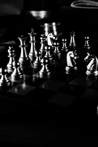 A vertical closeup of the chess pieces on the board.