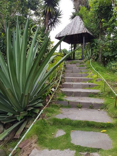 A vertical shot of stone stairs surrounded by green plants leading to a wooden pavilion in a forest
