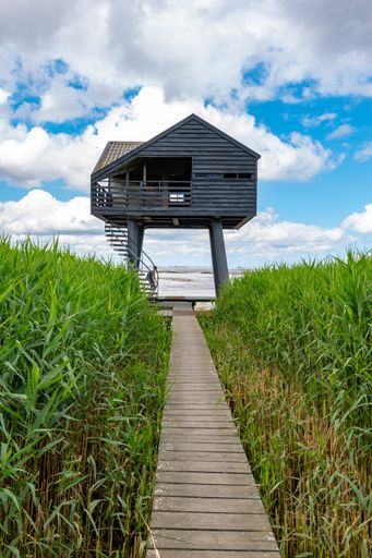 A vertical shot of a path in grassland leading to a small house near the river on a sunny and cloudy day