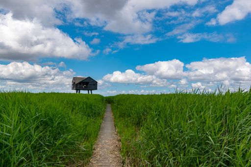 A low angle shot of a path leading to a small house in grassland on a sunny and cloudy day