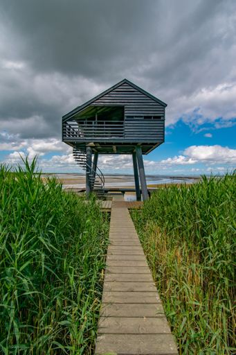 A vertical shot of a narrow wooden path leading through a field to a tall cabin under a cloudy sky
