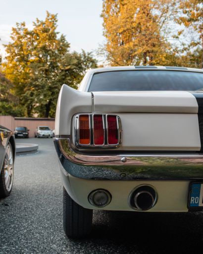 A classic car parked in a scenic outdoor setting with trees in the background
