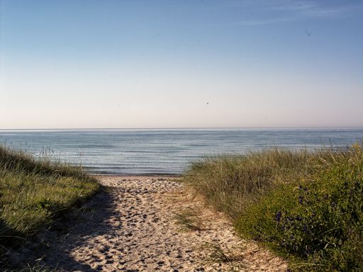 A sandy path leading to the sea during daytime