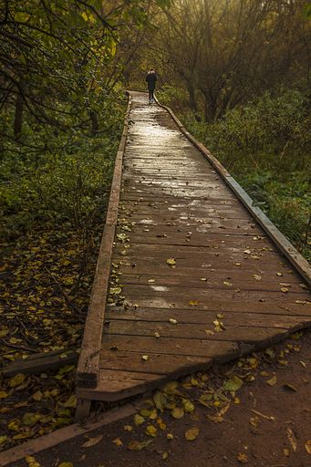 A vertical shot of a wooden road going through Rostrkino park surrounded by trees in Moscow, Russia