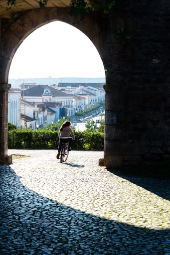 A little girl cycling on a sunny day