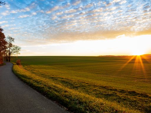 A high angle shot of a road by a beautiful grass-covered meadow captured at sunset