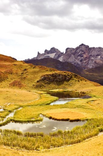 A vertical shot of a yellow valley in front of the dark rocks and the cloudy sky in the background