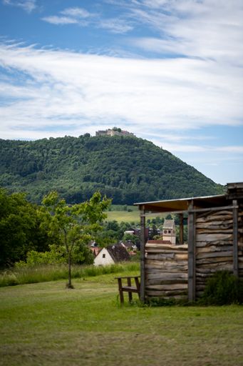 A vertical shot of an old, wooden shack on a field, with Hohenneufen castle ruins on top of a forested mountain in the background