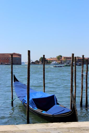 A vertical shot of a gondola near the shore