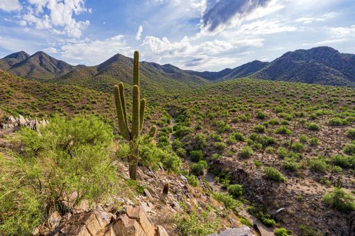 The image is from a high vantage point overlooking a wash below and looking toward a mountain pass in distance with a Saguaro in the foreground