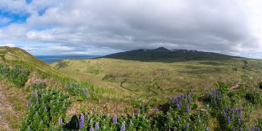 Streams carve up the valley toward Adak's Shagak Bay