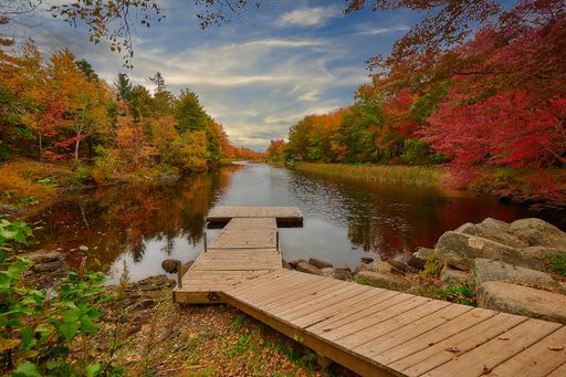 A wooden dock leading to the lake surrounded by colorful autumn trees