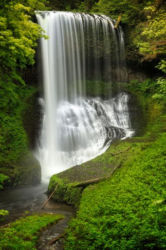A vertical shot of the Middle North Falls in Silver Falls State Park, Oregon