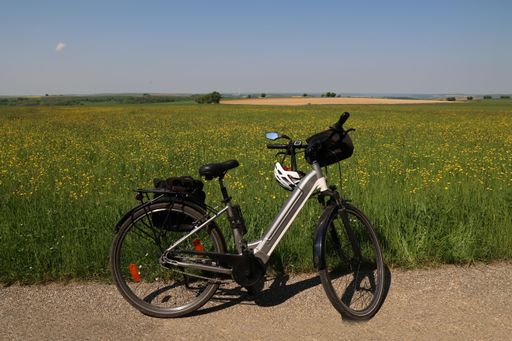 A bicycle on the road of a field full of flowers