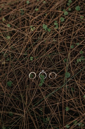 A vertical shot of three rings put on a surface of  small narrow wooden branches