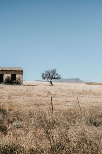 A vertical shot of a field with a tree and abandoned brick building against a blue sky