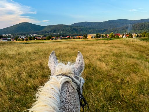 A closeup of a hourse head in the green field and a mountainous countryside with houses on the background