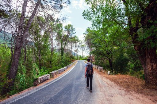 A selective focus shot of a young adventurer with a backpack walking on a road in the middle of the forest in the Cazorla Natural Park, in Spain