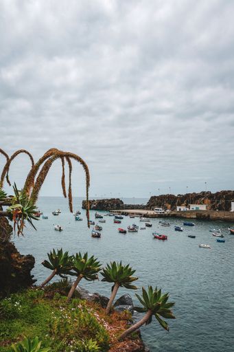 A vertical shot of boats sailing near a coast covered with greenery under a cloudy sky