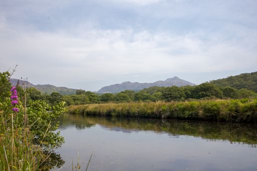 A scenic view of a river flowing through the mountain forests in Snowdonia National Park UK, Wales