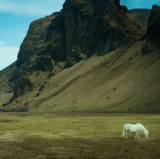 A white horse grazing in the green meadow with mountains in the background