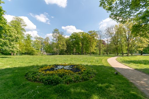 A narrow path in a beautiful green park under blue sky and white clouds
