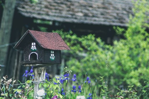 A beautiful shot of a small wooden birdhouse in a blooming garden
