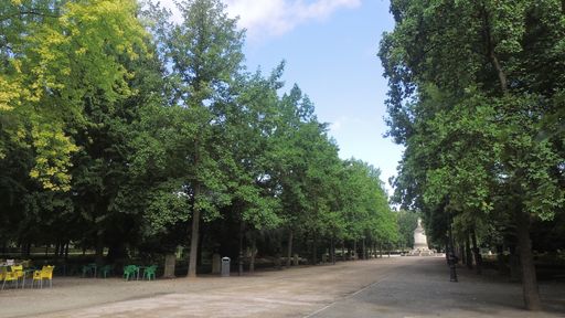 A long pathway surrounded by trees in the park