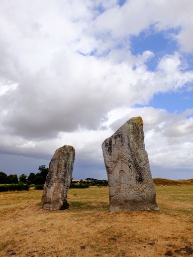 A vertical shot of two rocks standing in the middle of a field under the cloudy sky