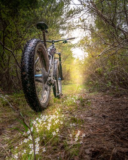 A vertical shot of a bicycle on the pathway in the middle of forest