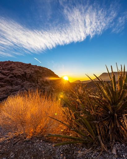 a vertical shot of scenic sunrise in NV Red Rock Canyon National Conservation Area, Las Vegas.