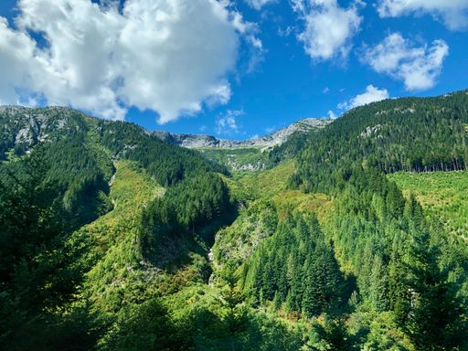 An aerial view of dense lush green forests on the hill under blue cloudy sky
