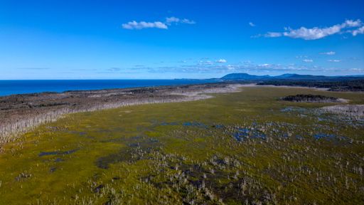 A view of the coast and sea in Port Macquarie, Australia