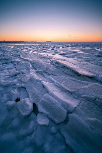 A beautiful view of a frozen sea at sunset with flying birds in the background