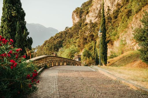 A bridge between mountains surrounded by greenery