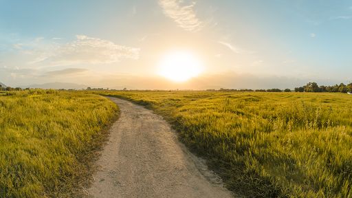 A beautiful view of a narrow path surrounded by green grass under a blue sunny sky