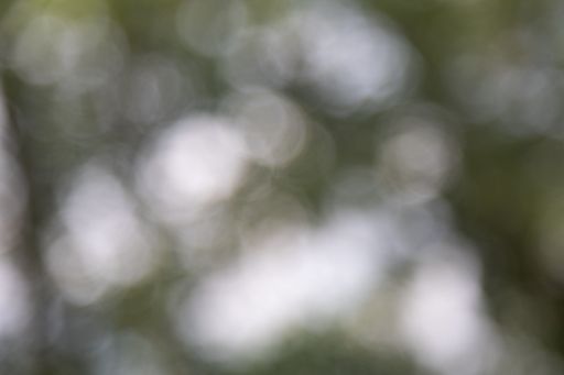 lens flares, blurred bokeh lights in white for web design, backgrounds, compositions and overlays