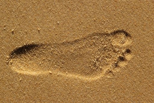 A closeup of a footprint of a human on sand