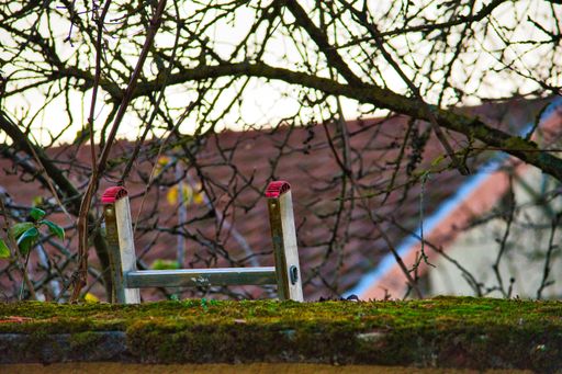 A metallic ladder leaned on a wall covered in moss with a house in the background