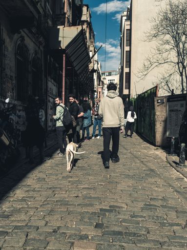 ISTANBUL, TURKEY - May 5, 2020: Back side view of man walking his dog wearing a coat. Morning.
