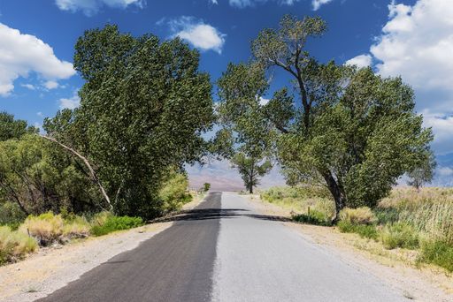 Green trees in a deserted valley road