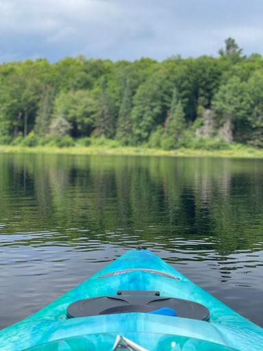 A beautiful shot from the kayak to the lake surrounded by trees