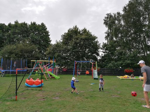 Kids playing with playground equipment on a green grass field.