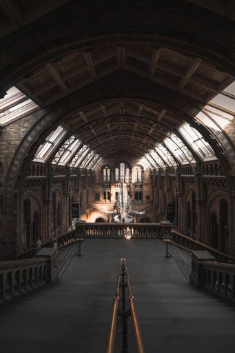 An interior of Natural History Museum in London