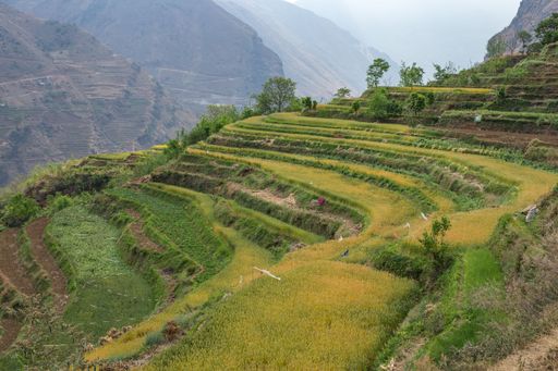 A landscape with grassy terrace and with high mountains