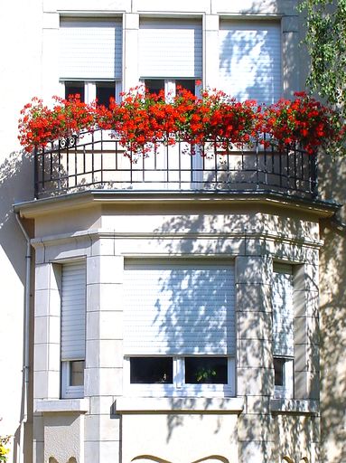 A vertical shot of a white building with red flowers on the balcony on a bright sunny day